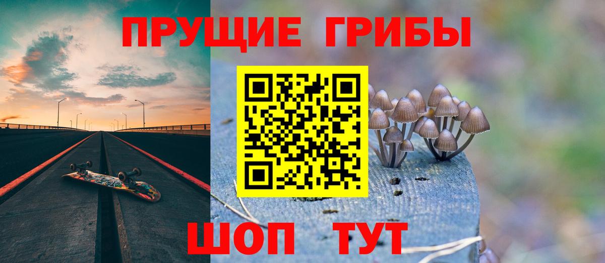 Кушва  Галлюциногенные грибы GOLDEN TEACHER  Вход с VPN  Псилоцибиновые грибы Psilocybe 